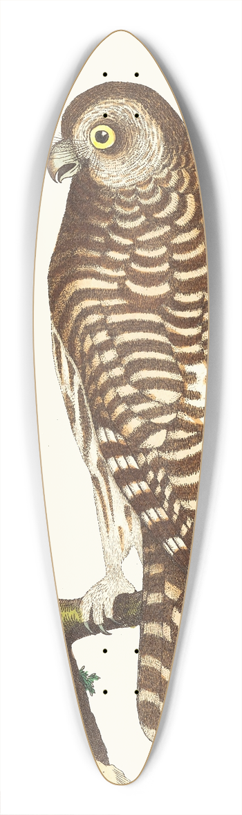 George Shaw - THE CLOUDED OWL 39.3 inch art pintail longboard deck