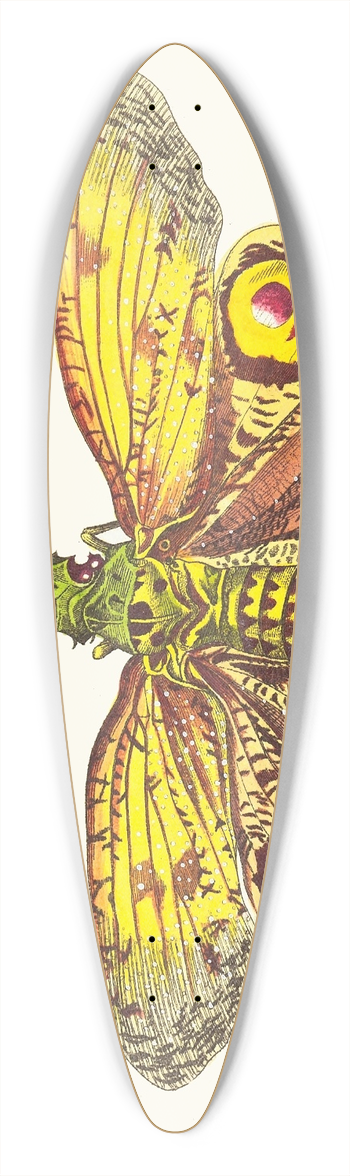 George Shaw - THE GREAT LANTHORN-FLY 39.3 inch art pintail longboard deck