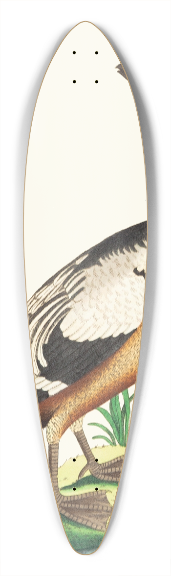 George Shaw - THE WESTERN DUCK 39.3 inch art pintail longboard deck