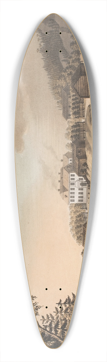 Georg Haas - Seconde vue de Stubbe-Lian 39.3 inch art pintail longboard deck