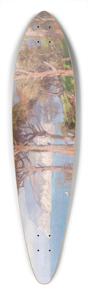 Georg Macco - Meereskste 39.3 inch art pintail longboard deck