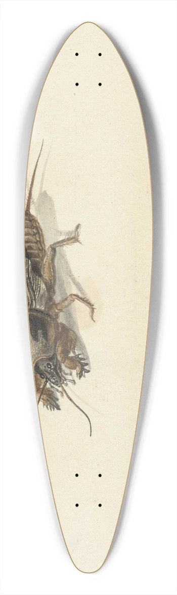 Gerard Sanders - Insect 39.3 inch art pintail longboard deck