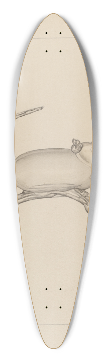 Giacinto Capelli - Mouse 39.3 inch art pintail longboard deck