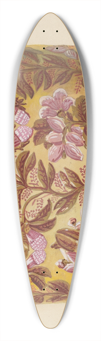 Gilbert Sackerman - Bandbox 39.3 inch art pintail longboard deck
