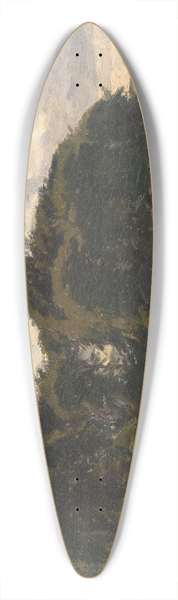 Godfred Christensen - Ein stiller Teich 39.3 inch art pintail longboard deck
