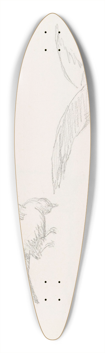 Hans Gude - Two birds 39.3 inch art pintail longboard deck