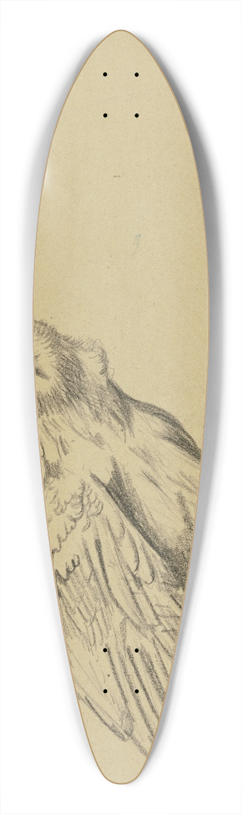 Hans Thoma - Harpy 39.3 inch art pintail longboard deck