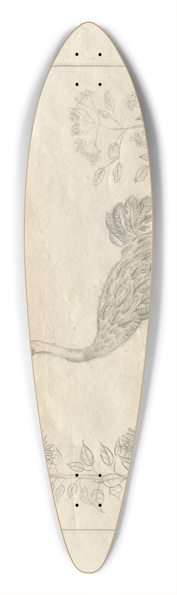 Hans Thoma - Sketchbook 39.3 inch art pintail longboard deck