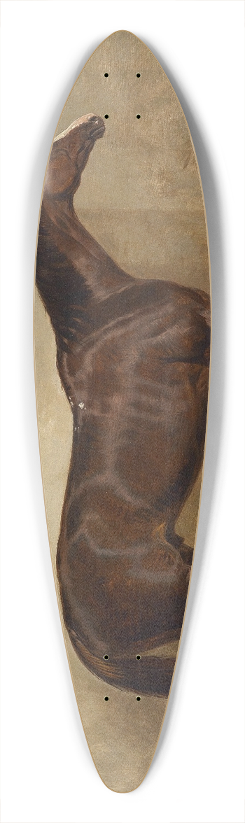 Harald R Hall - Prince Charlie 39.3 inch art pintail longboard deck