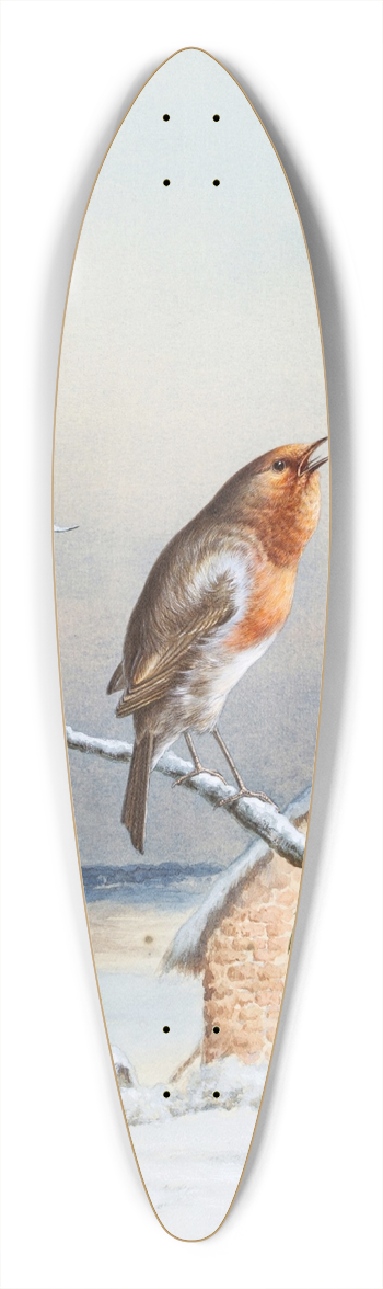 Harry Bright - Winter A Cock Robin 39.3 inch art pintail longboard deck