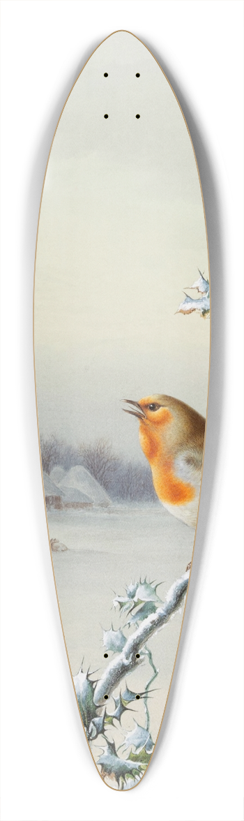 Harry Bright - Winter  A Robin and Wren 39.3 inch art pintail longboard deck