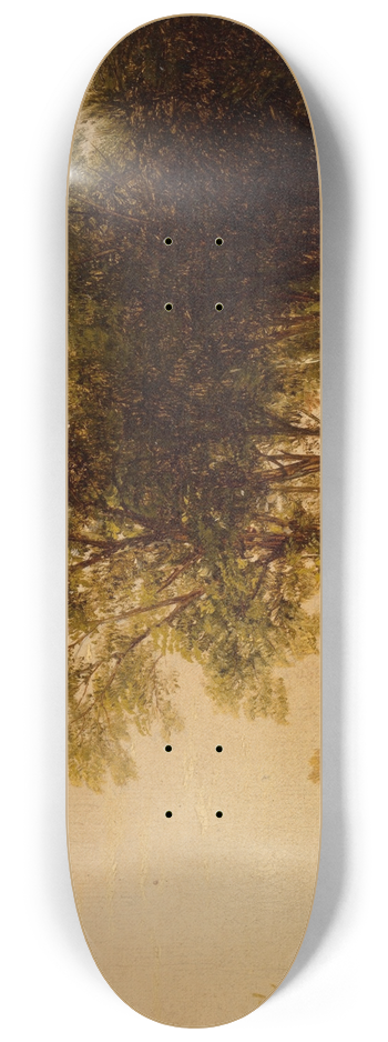 John William Casilear - Solitude 8.25 inch art skate deck
