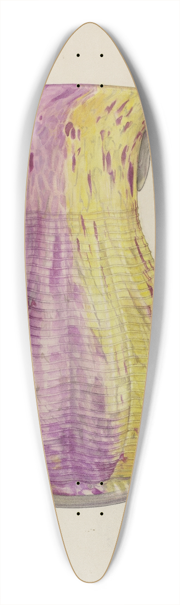 Helen Bronson - Glass Water Pitcher 39.3 inch art pintail longboard deck