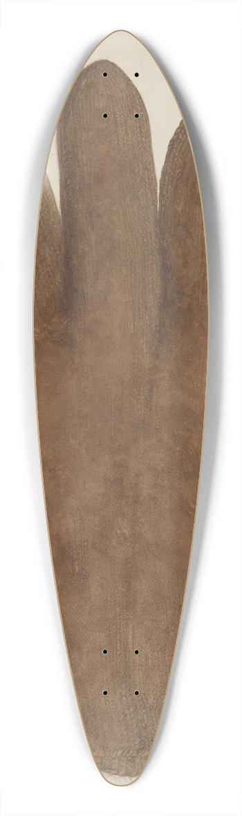 Helen E. Gilman - Shaker Glove 39.3 inch art pintail longboard deck