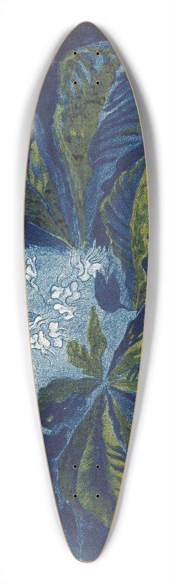 Henri Braakensiek - Kastanje 39.3 inch art pintail longboard deck