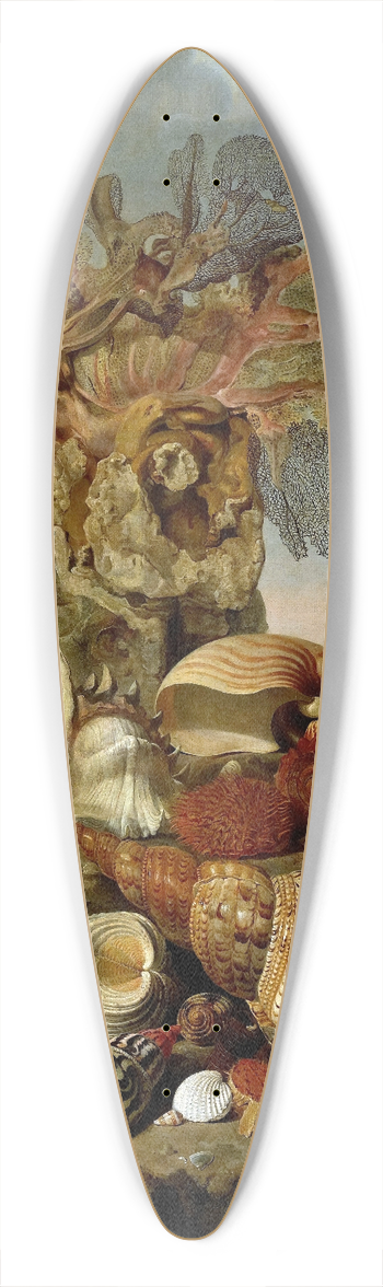 Henricus Franciscus Wiertz - Shells and Marine Plants 39.3 inch art pintail longboard deck