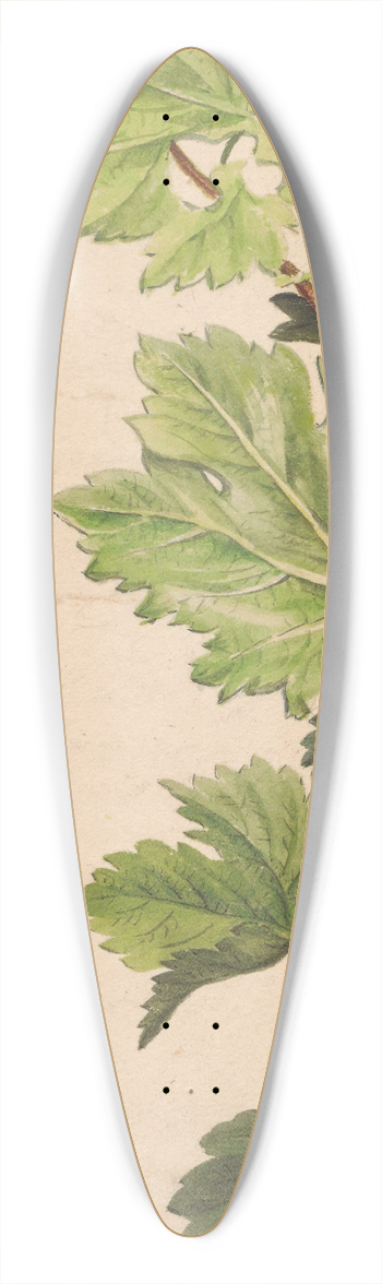 Henryka Beyer - Ivy twig and grapevine twig 39.3 inch art pintail longboard deck