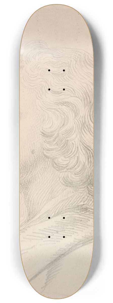 Jonathan Richardson the Elder - Jonathan Richardson, Junior 8.25 inch art skate deck