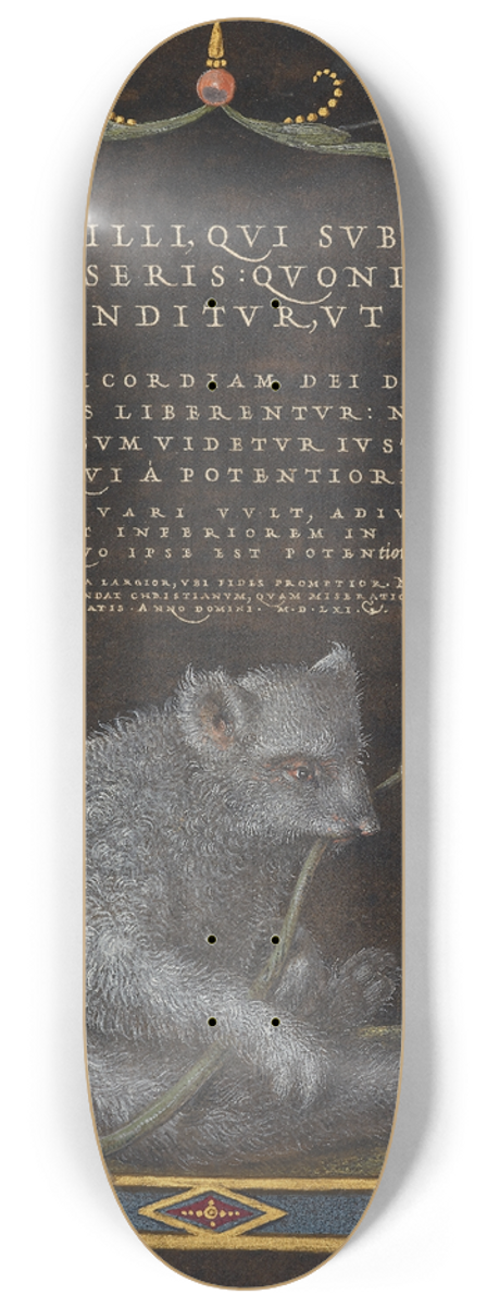 Joris Hoefnagel - A Sloth 8.25 inch art skate deck