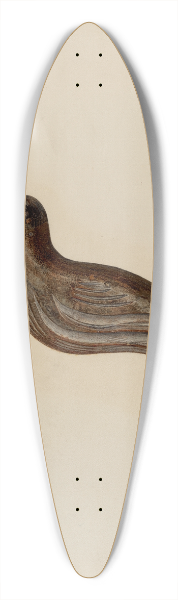 Hester Duany - Snipe 39.3 inch art pintail longboard deck