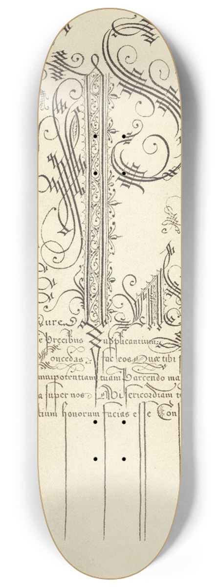 Joris Hoefnagel - Caterpillar and Globeflower 8.25 inch art skate deck