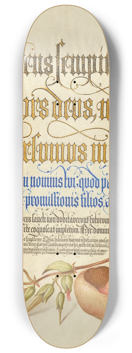 Joris Hoefnagel - Centipede, Wood Cranesbill, and Mushroom 8.25 inch art skate deck