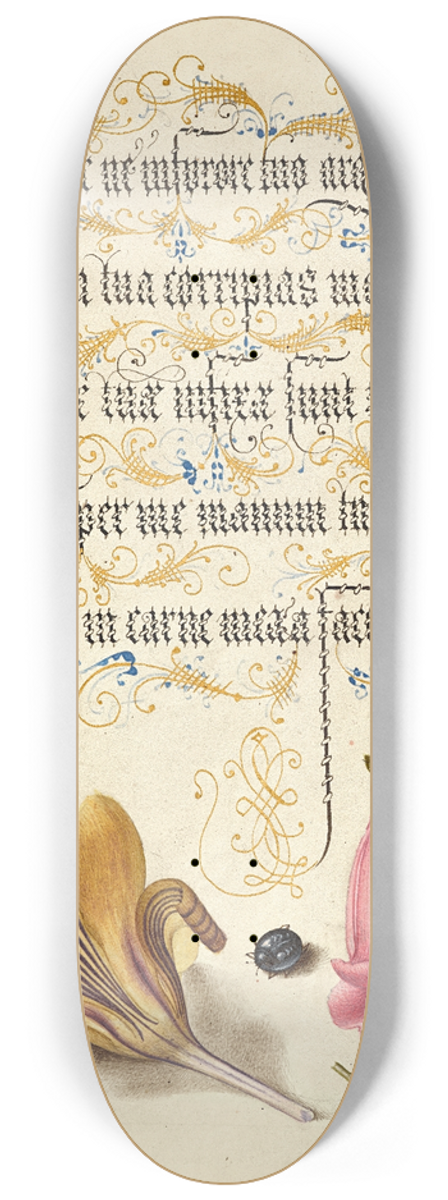 Joris Hoefnagel - Cloth-of-Gold Crocus, Beetle, and Foxglove 8.25 inch art skate deck