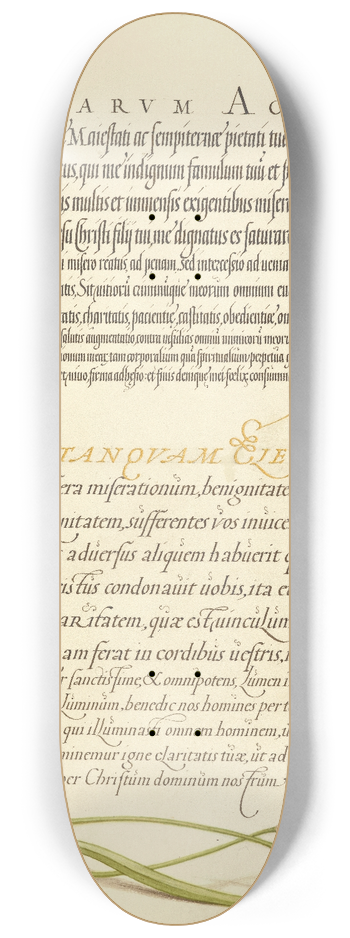 Joris Hoefnagel - Insects and Carnation 8.25 inch art skate deck