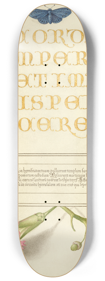 Joris Hoefnagel - Insects, Carnation, and Judas Tree 8.25 inch art skate deck