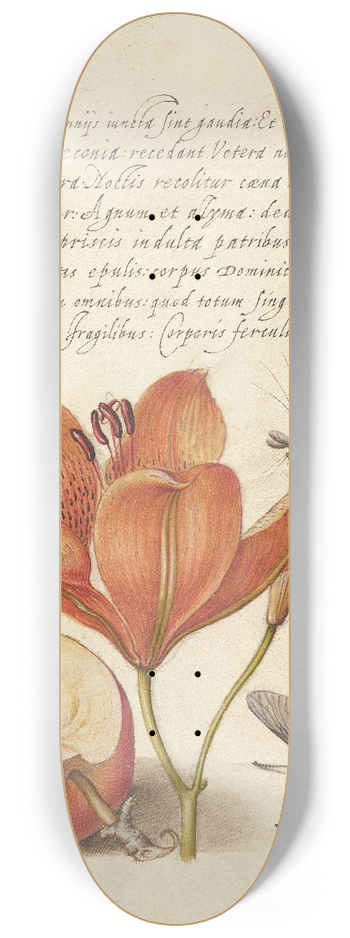 Joris Hoefnagel - Insects, Orange Lily, Caterpillar, Apple, and Horse Fly 8.25 inch art skate deck