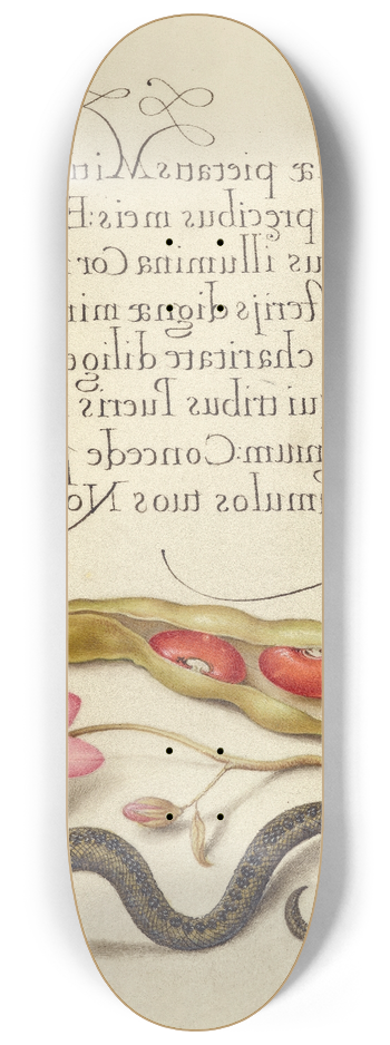 Joris Hoefnagel - Kidney Bean, Poppy Anemone, and Adder 8.25 inch art skate deck