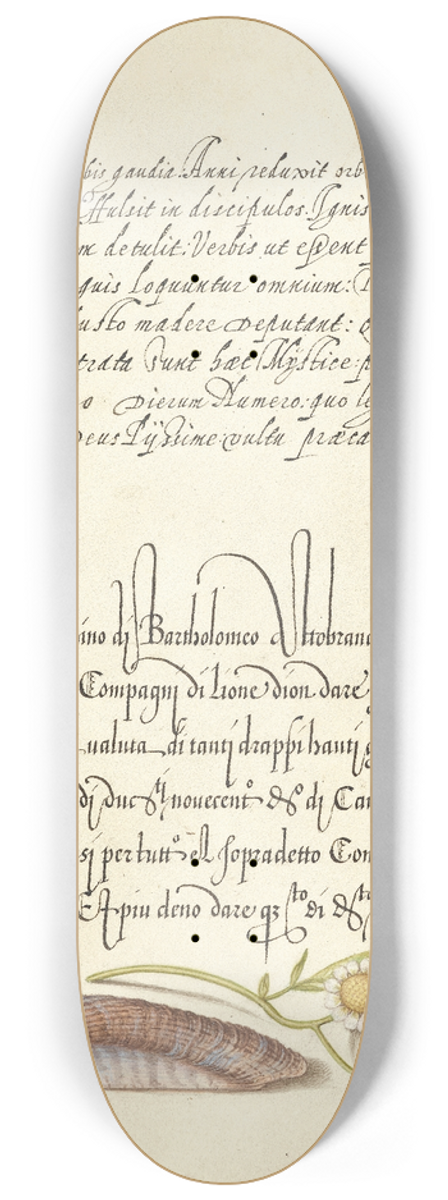 Joris Hoefnagel - Noahs Ark Shell and Sneezewort 8.25 inch art skate deck