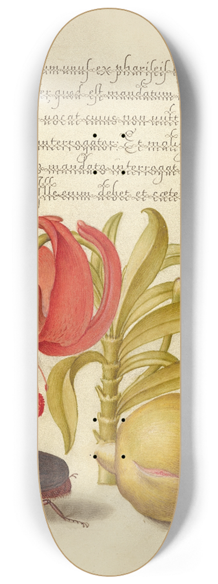 Joris Hoefnagel - Scarlet Turks Cap, Rhinoceros Beetle, and Pomegranate 8.25 inch art skate deck