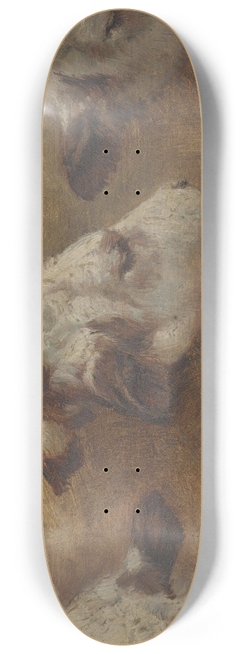 Anders Askevold - Study of Calfheads 8.25 inch art skate deck