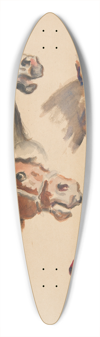 Ivan Ivanec - Studia bw koskich 39.3 inch art pintail longboard deck