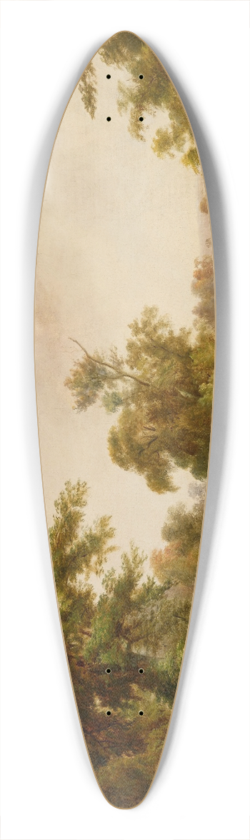 Jacob Cox - Scene in Indianapolis 39.3 inch art pintail longboard deck