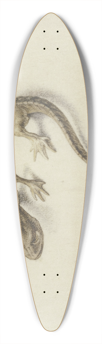 Jacob de Gheyn II - Lizard 39.3 inch art pintail longboard deck