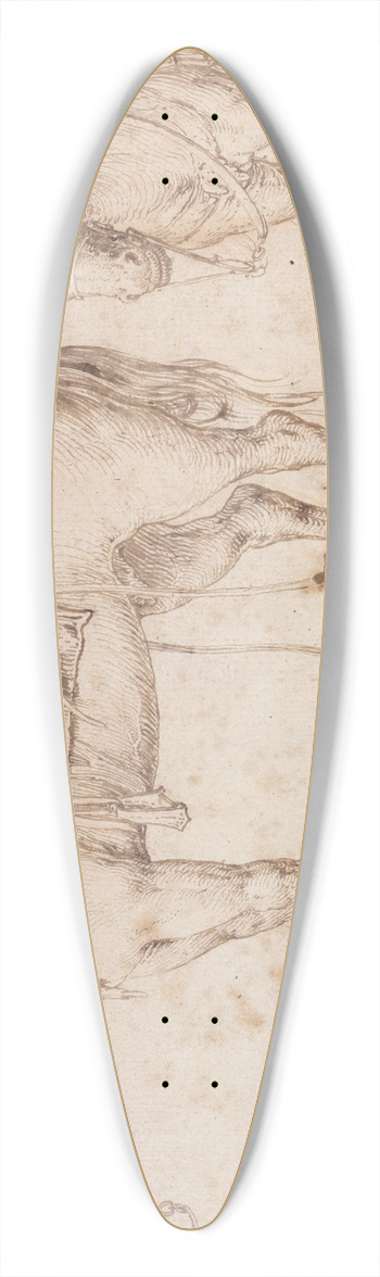 Jacob de Gheyn II - Study of a bean plant 39.3 inch art pintail longboard deck
