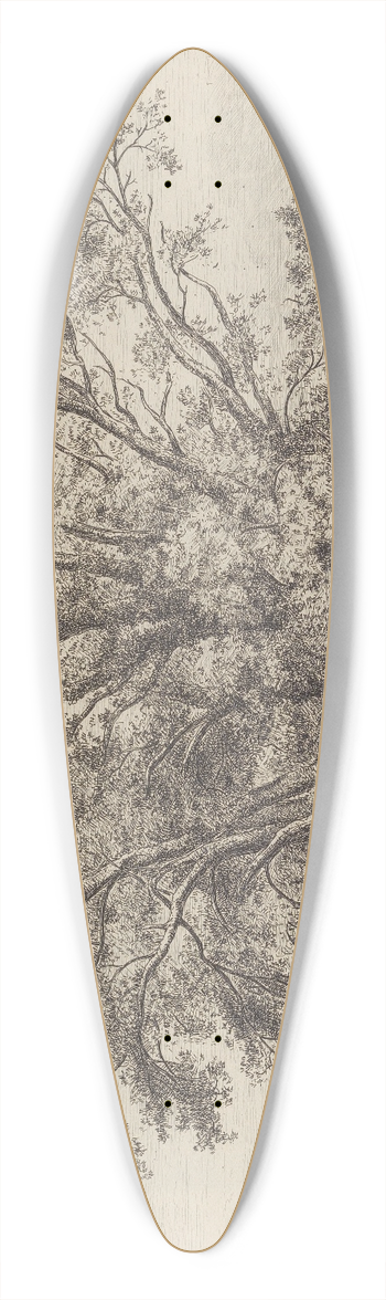 Jacob George Strutt - The Abbots Willow 39.3 inch art pintail longboard deck