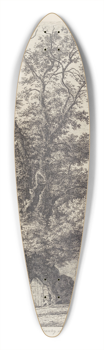 Jacob George Strutt - The Crawley Elm 39.3 inch art pintail longboard deck