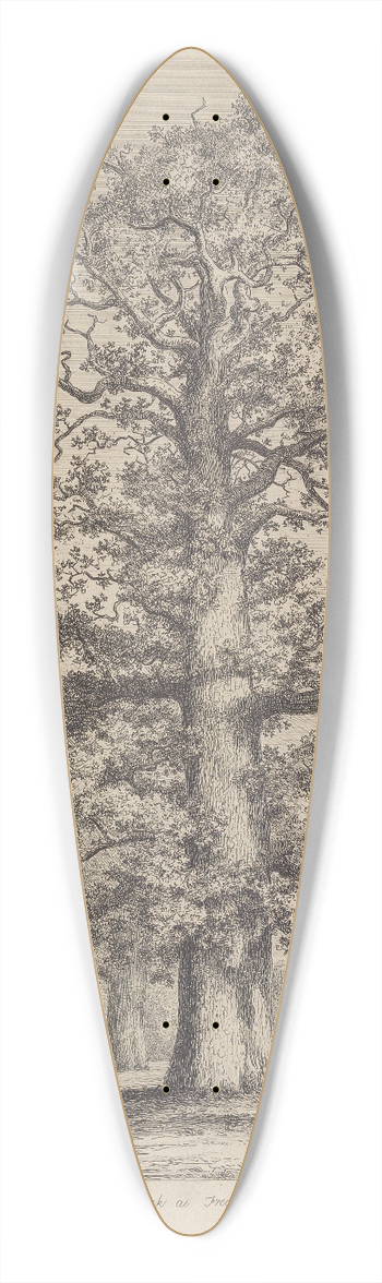 Jacob George Strutt - The Tall Oak at Fredville 39.3 inch art pintail longboard deck