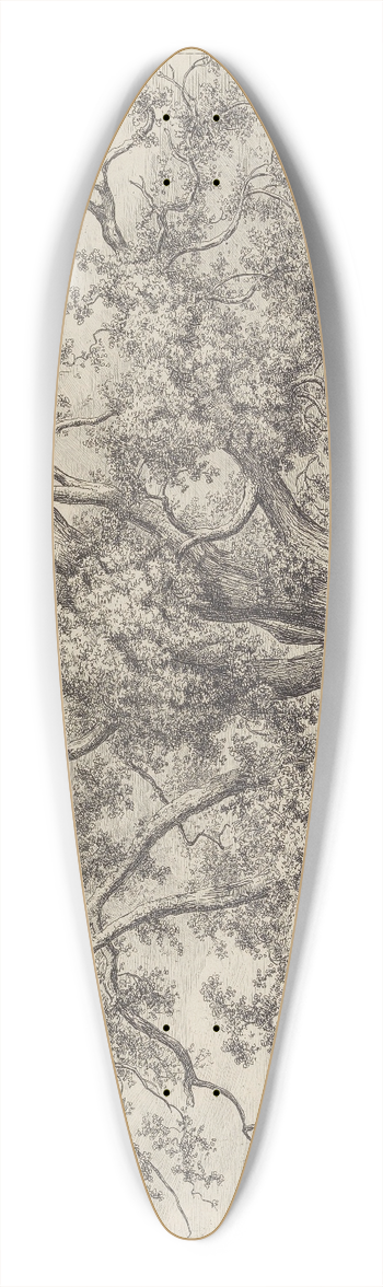 Jacob George Strutt - The Tutbury Wych-Elm 39.3 inch art pintail longboard deck