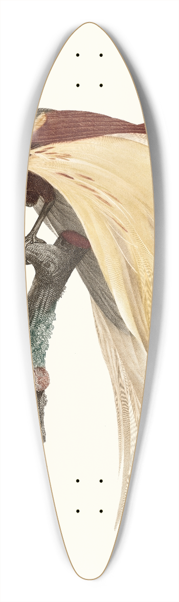 Jacques Barraband - Le petit Oiseau de paradis Emeraude, mle. 39.3 inch art pintail longboard deck
