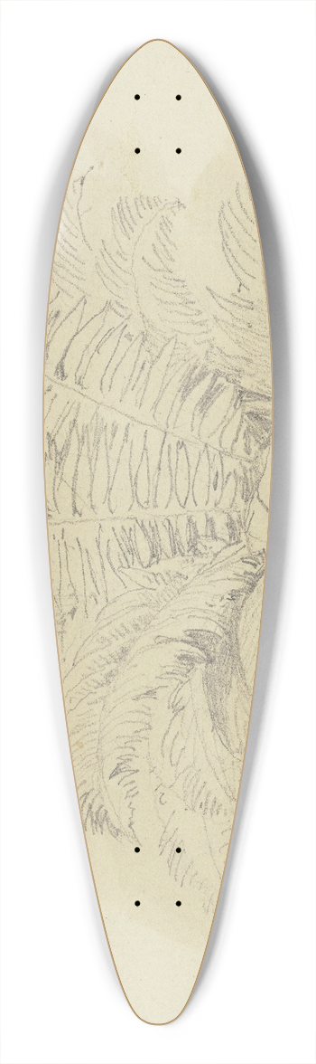 Jakob Becker - Ferns 39.3 inch art pintail longboard deck