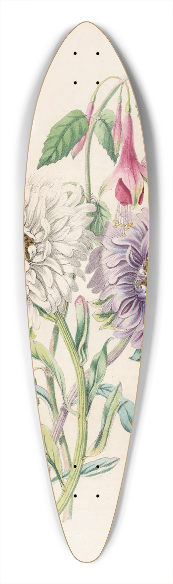 James Ackerman - China-Aster And Fuchsia 39.3 inch art pintail longboard deck