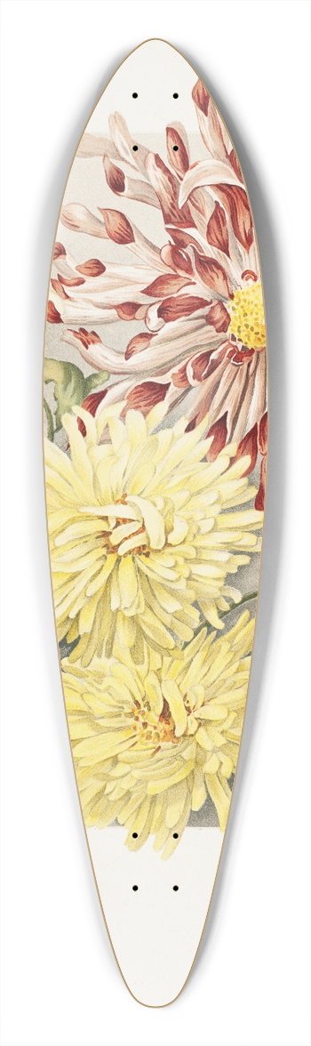 James Callowhill - Daisies 39.3 inch art pintail longboard deck