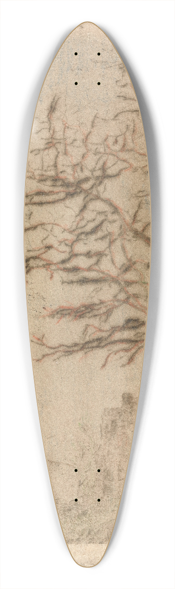 James Ensor - Acacia 39.3 inch art pintail longboard deck