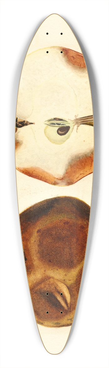 James Marion Shull - Malus domestica 39.3 inch art pintail longboard deck