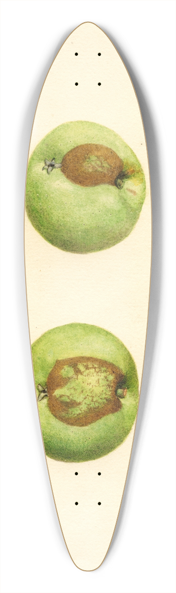 James Marion Shull - Malus domestica: Grimes 39.3 inch art pintail longboard deck