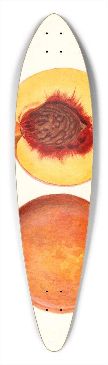 James Marion Shull - Prunus persica: Shipper 39.3 inch art pintail longboard deck